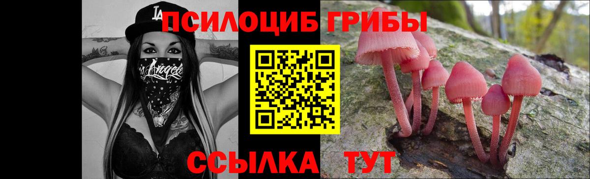 Псилоцибиновые грибы ЛСД Бирск
